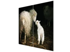 Banjado Herdabdeckplatte Glas 2 Teilig Je 30x52CM Schneidebrett Herdabdeckung Mit Motiv Schaf Und Lamm