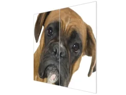 Banjado Herdabdeckplatte Glas 2 Teilig Je 30x52CM Schneidebrett Herdabdeckung Mit Motiv Boxer