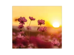 Banjado Herdabdeckplatte Glas 1 Teilig 60x52CM Schneidebrett Herdabdeckung Mit Motiv Cosmea Feld