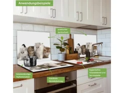 Banjado Herdabdeckplatte Glas 1 Teilig 60x52CM Schneidebrett Herdabdeckung Mit Motiv Kaetzchen