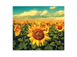 Banjado Herdabdeckplatte Glas 1 Teilig 60x52CM Schneidebrett Herdabdeckung Mit Motiv Sonnenblumen