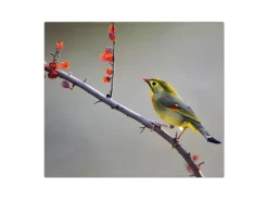 Banjado Herdabdeckplatte Glas 1 Teilig 60x52CM Schneidebrett Herdabdeckung Mit Motiv Herbst Vogel