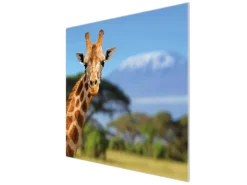 Banjado Herdabdeckplatte Glas 1 Teilig 60x52CM Schneidebrett Herdabdeckung Mit Motiv Miss Kilimandscharo