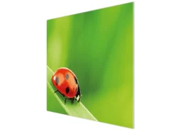 Banjado Herdabdeckplatte Glas 1 Teilig 60x52CM Schneidebrett Herdabdeckung Mit Motiv Marienkäfer