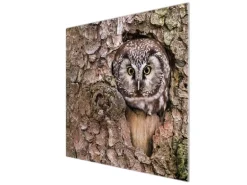 Banjado Herdabdeckplatte Glas 1 Teilig 60x52CM Schneidebrett Herdabdeckung Mit Motiv Eule