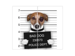 Banjado Herdabdeckplatte Glas 2 Teilig Je 30x52CM Schneidebrett Herdabdeckung Mit Motiv Bad Dog Jack Russel
