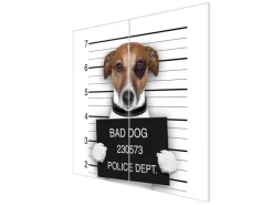 Banjado Herdabdeckplatte Glas 2 Teilig Je 30x52CM Schneidebrett Herdabdeckung Mit Motiv Bad Dog Jack Russel