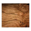 Banjado Herdabdeckplatte Glas 1 Teilig 60x52CM Schneidebrett Herdabdeckung Mit Motiv Trockenes Holz