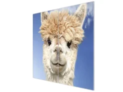 Banjado Herdabdeckplatte Glas 2 Teilig Je 30x52CM Schneidebrett Herdabdeckung Mit Motiv Lama