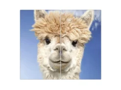 Banjado Herdabdeckplatte Glas 2 Teilig Je 30x52CM Schneidebrett Herdabdeckung Mit Motiv Lama