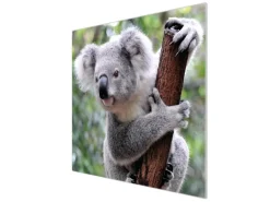 Banjado Herdabdeckplatte Glas 1 Teilig 60x52CM Schneidebrett Herdabdeckung Mit Motiv Koala