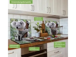 Banjado Herdabdeckplatte Glas 1 Teilig 60x52CM Schneidebrett Herdabdeckung Mit Motiv Koala