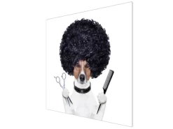 Banjado Herdabdeckplatte Glas 1 Teilig 60x52CM Schneidebrett Herdabdeckung Mit Motiv Friseur Jack Russel