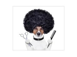 Banjado Herdabdeckplatte Glas 1 Teilig 60x52CM Schneidebrett Herdabdeckung Mit Motiv Friseur Jack Russel
