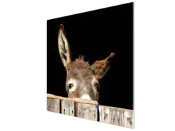 Banjado Herdabdeckplatte Glas 1 Teilig 60x52CM Schneidebrett Herdabdeckung Mit Motiv Esel