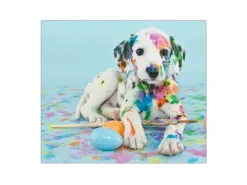 Banjado Herdabdeckplatte Glas 1 Teilig 60x52CM Schneidebrett Herdabdeckung Mit Motiv Bunter Dalmatiner