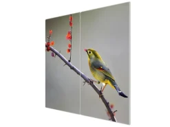 Banjado Herdabdeckplatte Glas 2 Teilig Je 30x52CM Schneidebrett Herdabdeckung Mit Motiv Herbst Vogel