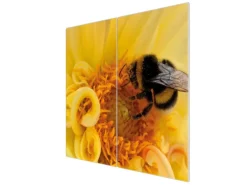 Banjado Herdabdeckplatte Glas 2 Teilig Je 30x52CM Schneidebrett Herdabdeckung Mit Motiv Hummel