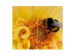 Banjado Herdabdeckplatte Glas 2 Teilig Je 30x52CM Schneidebrett Herdabdeckung Mit Motiv Hummel