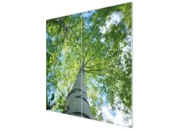 Banjado Herdabdeckplatte Glas 2 Teilig Je 30x52CM Schneidebrett Herdabdeckung Mit Motiv Zwischen Bäumen 5