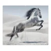 Banjado Herdabdeckplatte Glas 2 Teilig Je 30x52CM Schneidebrett Herdabdeckung Mit Motiv Wildes Pferd
