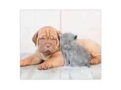 Banjado Herdabdeckplatte Glas 2 Teilig Je 30x52CM Schneidebrett Herdabdeckung Mit Motiv Hund Und Katze