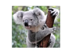 Banjado Herdabdeckplatte Glas 2 Teilig Je 30x52CM Schneidebrett Herdabdeckung Mit Motiv Koala