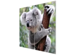 Banjado Herdabdeckplatte Glas 2 Teilig Je 30x52CM Schneidebrett Herdabdeckung Mit Motiv Koala