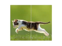 Banjado Herdabdeckplatte Glas 2 Teilig Je 30x52CM Schneidebrett Herdabdeckung Mit Motiv Jagende Katze
