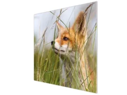 Banjado Herdabdeckplatte Glas 2 Teilig Je 30x52CM Schneidebrett Herdabdeckung Mit Motiv Fuchs