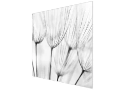 Banjado Herdabdeckplatte Glas 1 Teilig 60x52CM Schneidebrett Herdabdeckung Mit Motiv Pusteblumen Sw