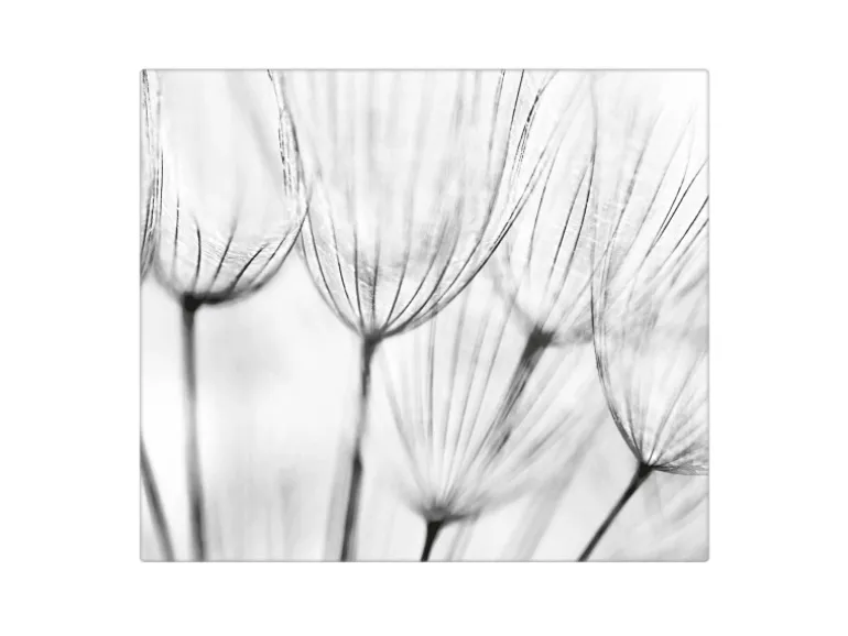 Banjado Herdabdeckplatte Glas 1 Teilig 60x52CM Schneidebrett Herdabdeckung Mit Motiv Pusteblumen Sw