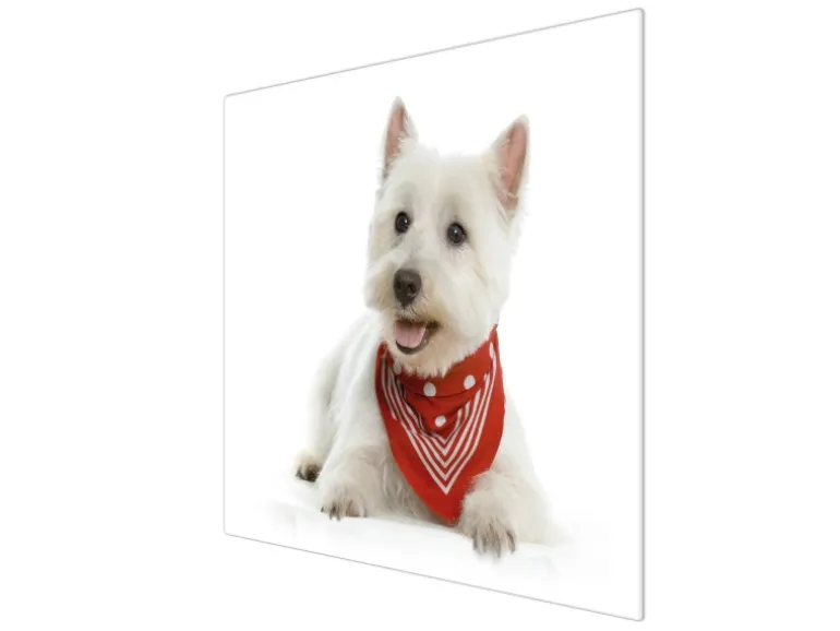 Banjado Herdabdeckplatte Glas 1 Teilig 60x52CM Schneidebrett Herdabdeckung Mit Motiv Westie