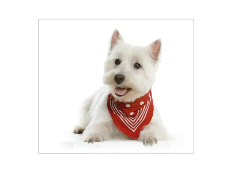 Banjado Herdabdeckplatte Glas 1 Teilig 60x52CM Schneidebrett Herdabdeckung Mit Motiv Westie