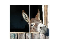 Banjado Herdabdeckplatte Glas 2 Teilig Je 30x52CM Schneidebrett Herdabdeckung Mit Motiv Nicki