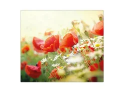 Banjado Herdabdeckplatte Glas 1 Teilig 60x52CM Schneidebrett Herdabdeckung Mit Motiv Kamille Und Mohn