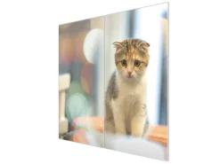 Banjado Herdabdeckplatte Glas 2 Teilig Je 30x52CM Schneidebrett Herdabdeckung Mit Motiv Kleine Katze