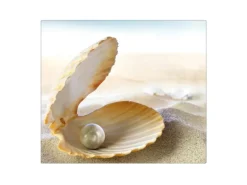 Banjado Herdabdeckplatte Glas 1 Teilig 60x52CM Schneidebrett Herdabdeckung Mit Motiv Perlenmuschel