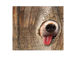 Banjado Herdabdeckplatte Glas 1 Teilig 60x52CM Schneidebrett Herdabdeckung Mit Motiv Rumschnüffeln