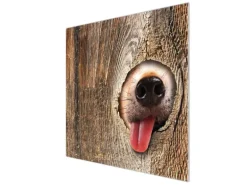 Banjado Herdabdeckplatte Glas 1 Teilig 60x52CM Schneidebrett Herdabdeckung Mit Motiv Rumschnüffeln