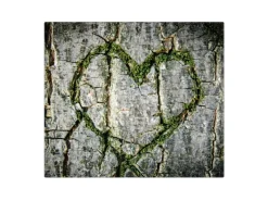 Banjado Herdabdeckplatte Glas 1 Teilig 60x52CM Schneidebrett Herdabdeckung Mit Motiv Herz Aus Moos