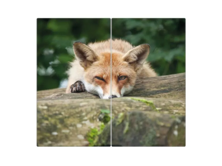 Banjado Herdabdeckplatte Glas 2 Teilig Je 30x52CM Schneidebrett Herdabdeckung Mit Motiv Fuchs Relax