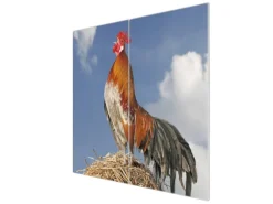 Banjado Herdabdeckplatte Glas 2 Teilig Je 30x52CM Schneidebrett Herdabdeckung Mit Motiv Hahn