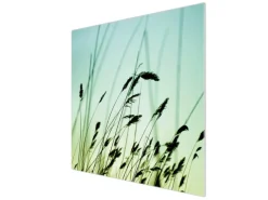 Banjado Herdabdeckplatte Glas 1 Teilig 60x52CM Schneidebrett Herdabdeckung Mit Motiv Gräser