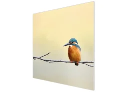 Banjado Herdabdeckplatte Glas 1 Teilig 60x52CM Schneidebrett Herdabdeckung Mit Motiv Pause