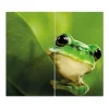 Banjado Herdabdeckplatte Glas 2 Teilig Je 30x52CM Schneidebrett Herdabdeckung Mit Motiv Frosch