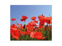 Banjado Herdabdeckplatte Glas 1 Teilig 60x52CM Schneidebrett Herdabdeckung Mit Motiv Mohnblumen