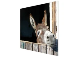 Banjado Herdabdeckplatte Glas 1 Teilig 60x52CM Schneidebrett Herdabdeckung Mit Motiv Nicki