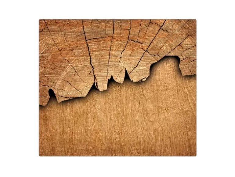 Banjado Herdabdeckplatte Glas 1 Teilig 60x52CM Schneidebrett Herdabdeckung Mit Motiv Baumscheibe