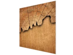 Banjado Herdabdeckplatte Glas 1 Teilig 60x52CM Schneidebrett Herdabdeckung Mit Motiv Baumscheibe